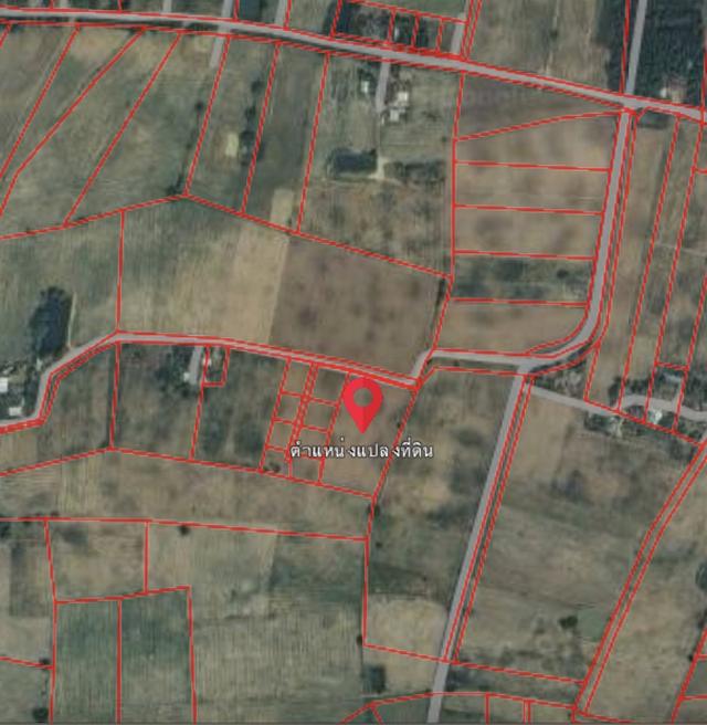 หลุดจอง ที่ดินพร้อมสวนมะม่วง อ.บ้านไร่ จ.อุทัยธานี 4