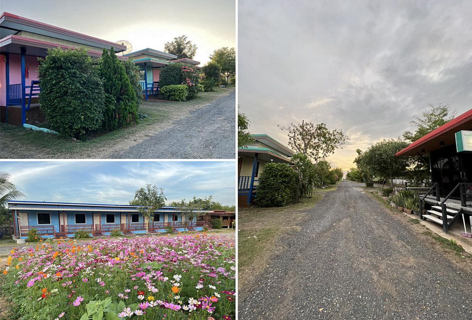 รีสอร์ทพร้อมกิจการ 6 ไร่ ติดเขื่อนสิรินธร กิจกรรมล่องแพ สระว่ายน้ำ ห้องจัดเลี้ยง จังหวัดอุบลราชธานี 9