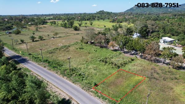 ขายที่ดิน 98 ตารางวา มีโฉนด ต.พรหมณี ติดถนนหลวง วิวเขาชัด ใกล้ รร.จปร. 5