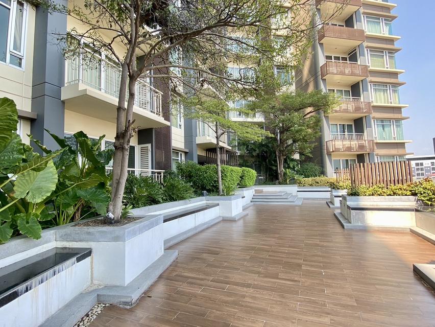 Condominiums ivy pinklao 2