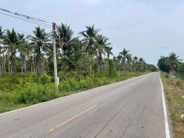 ขายที่ดินหนองเสือปทุมธานี ขายที่ดินคลอง9ปทุมธานี .บึงบอน อ.หนองเสือ จ.ปทุมธานี เนื้อที่ 147-0-20 ไร่