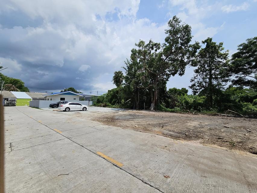 ขายที่ดินถมแล้วบ้านปึก อ่างศิลา 67 ตรว. ซอยวัดเตาปูน มิตรสัมพันธ์12 ใกล้โรงพยาบาลเอกชล2-1กม. เมืองชลบุรี 4