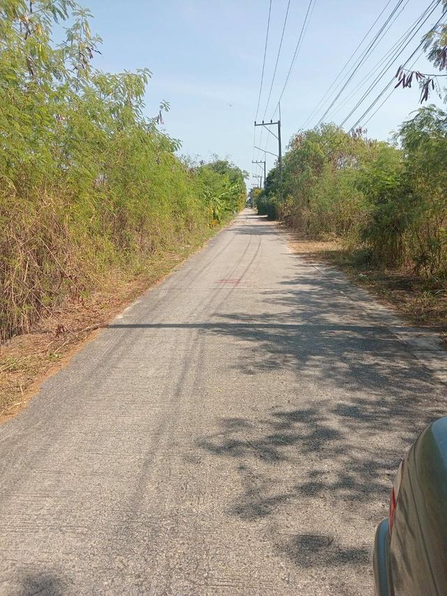 ขายถูกที่สุดที่ดินคลองสาม 1 ไร่ ติดถนนคอนกรีตสาธารณะ หน้ากว้างมาก ซ.12/9 อ.คลองหลวง จ.ปทุมธานี 2