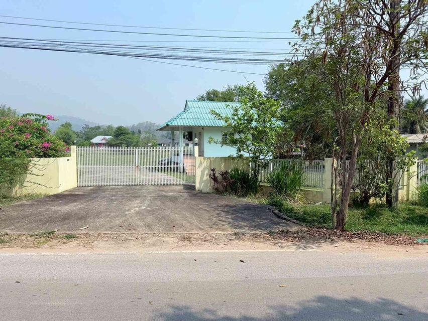 ขายบ้านพร้อมที่ดินแปลงสวย ทำเลทอง ติดถนนใหญ่ จังหวัดเชียงราย 4