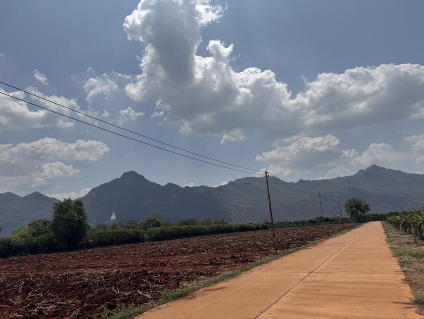 ขออนุญาติฝากขายที่ดินกลางดง ปากช่องแปลงงาม(โฉนด) เนื้อที่ 3 ไร่ ติดเขาใหญ่ ใกล้ถนนมิตรภาพ 5