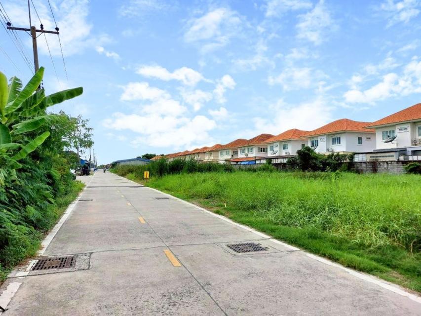ขายที่ดินถมแล้ว เนื้อที่ 101 ตรว. ย่านรังสิต-ปทุมธานี ทำเลทอง แหล่งชุมชน ซ.บงกช 35 คลองสอง  15