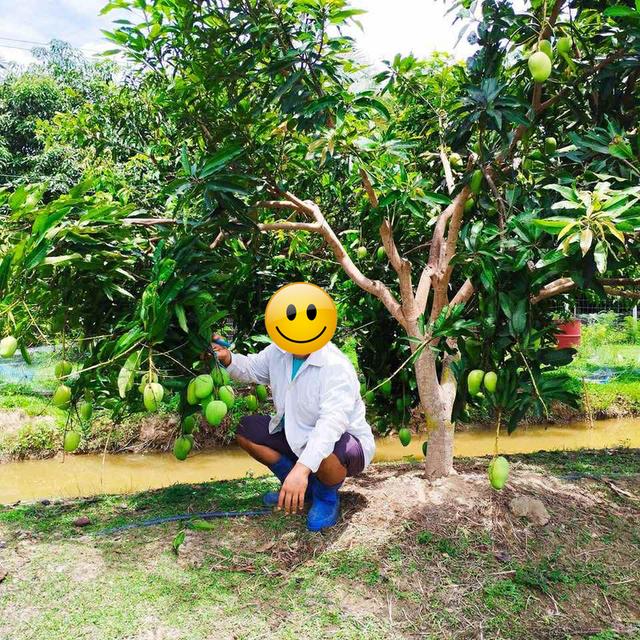 ขายที่ดิน 7