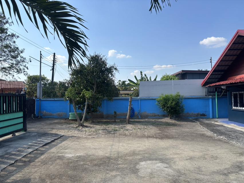 ขายบ้านเดี่ยวสภาพดี 200 ตารางวา อยู่ใกล้ตัวเมืองปากช่อง 19