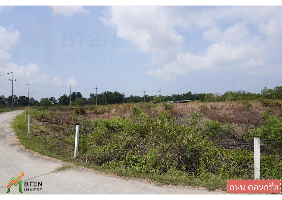 ที่ดินขายด่วน ยกแปลง ทำเลทอง 8 ไร่ 3งาน 70 ตรว 2