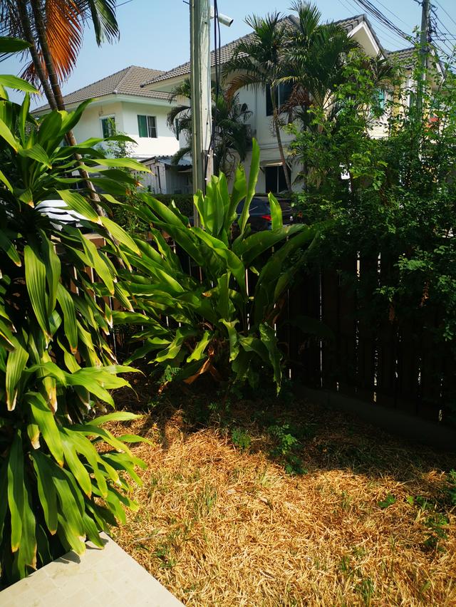 บ้านพฤกษาวิลล์31 สายไหม 12