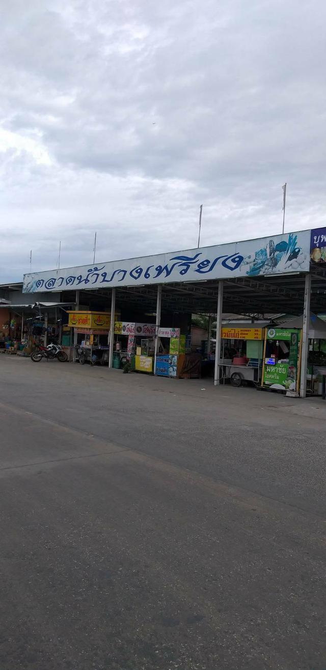 ขายที่ดิน 15 ไร่ขายไร่ละ 7 ล้าน อยู่บางเพรียง สมุทรปราการ มีทั้งหมด 20 ไร่ข่ายไปแล้ว 5 ไร่ 10