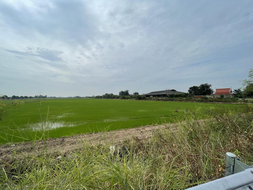 ที่ดิน ติดถนนใหญ่ อ.บ้านสร้าง จ.ปราจีนบุรี 3