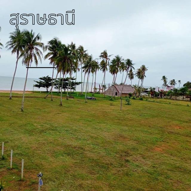 ที่ดินติดะเล 2