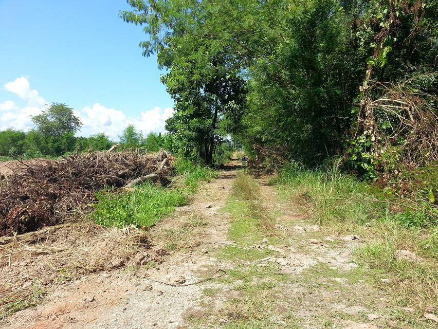 ที่ดินครุฑแดง อ.ห้างฉัตร จ.ลำปาง 2