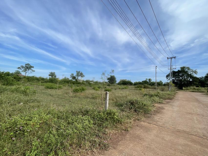 ที่ดินใกล้ ม.เกษตร สกลนคร แบ่งขาย ใกล้ ม. / 7-11 / หอพัก ที่ดินสูง ถนนคอนกรีต ไฟฟ้า–ประปาพร้อม  • แปลงที่ 1 : 1 งาน → 480,000 บาท • แปลงที่ 2 : 1 งาน 3