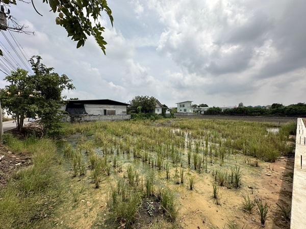 ขายที่ดิน 263 ตรว. พร้อมถมดินให้ ซอยวัดพูนพิมลราช ต.พิมลราช อ.บางบัวทอง จ.นนทบุรี โทร 088-899-8965 7