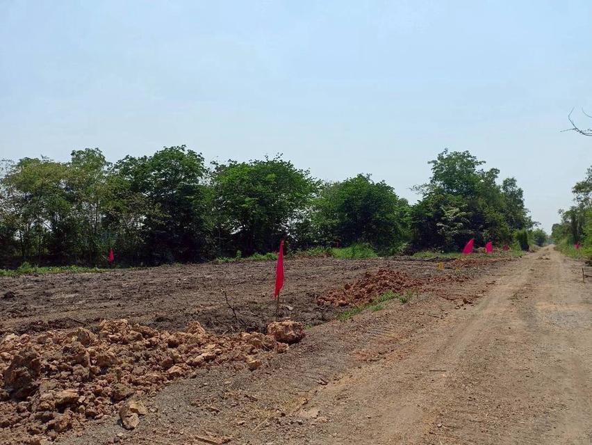 โอกาสมีที่ดินเป็นของตัวเอง คลอง 12 หนองเสือ เริ่มเพียง 360,000 บาท 16