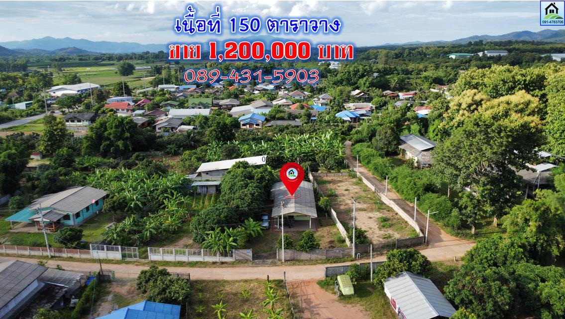 pcr2470 ขายบ้านพร้อมที่ดินเป็นโฉนดครุฑแดง อ.แม่สรวย จ.เชียงราย 1