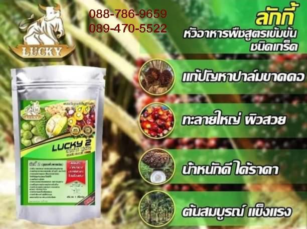 ลักกี้ นวัตกรรมอาหารพืช
