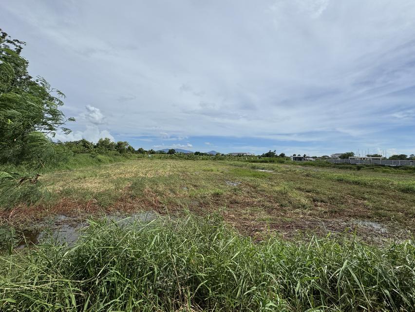 ขายที่ดิน เทศบาล4 (ซอย.4) ถนน สุขประยูร ติดถนนหลัก 4