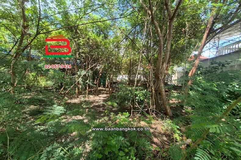 ที่ดินเปล่า (ถมแล้ว) เนื้อที่ 91 ตร.ว (ซอยเพชรเกษม 68 แยก 31) ใกล้เดอะมอลล์บางแค แขวงบางแคเหนือ เขตบางแค 6