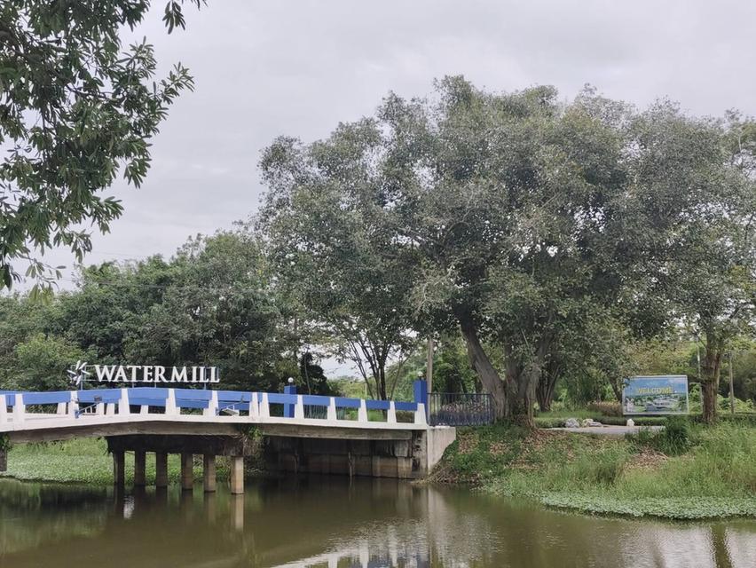 😮แม่เจ้า..เกือบไร่ครึ่งไม่ถึงล้าน ที่ดินโฉนดติดคลอง14 เจ้าของขายเอง!!! 12