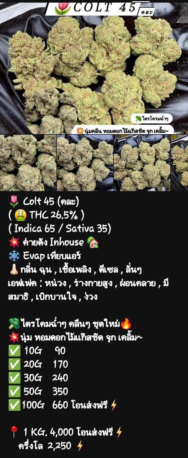 กัญๆ📲💯 15