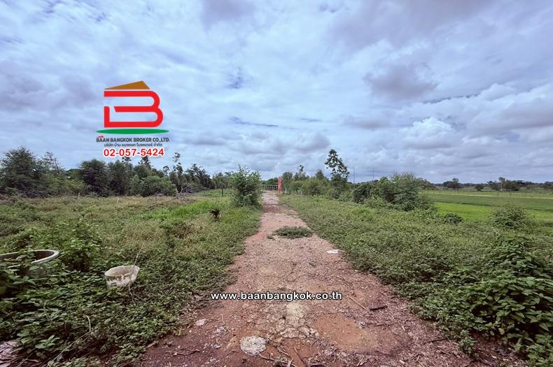 ที่ดินพร้อมกิจการ เนื้อที่ 21 ไร่ ใกล้ PT สาขาเชียงยืน 4 (ติดกับถนนขอนแก่น-โพนทอง) ตำบลเชียงยืน อำเภอเชียงยืน มหาสารคาม 10