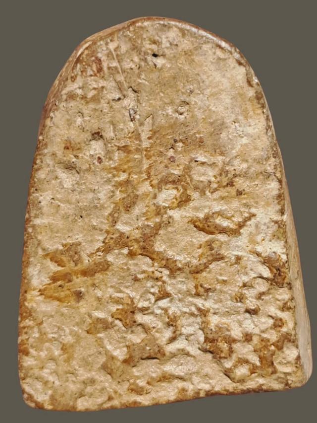 พระซุ้มกอเปิดเช่าบูชา รูปที่ 3