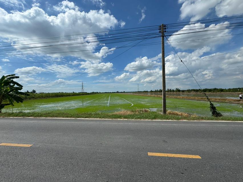 ขายที่ดินแปลง 31 ไร่ หน้ากว้าง 70 เมตร ติดถนน อ.ลาดหลุมแก้ว จ.ปทุมธานี 2