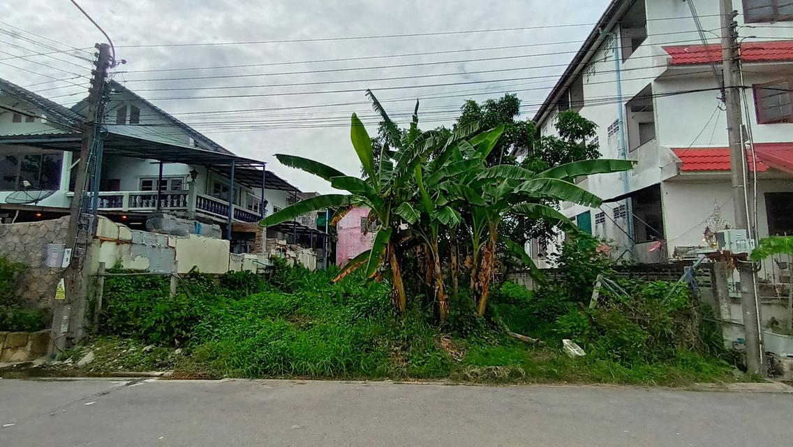ขายที่ดิน 1