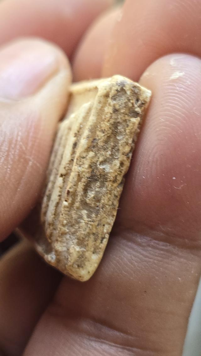 พระสมเด็จบางขุนพรหม พิมพ์ทรงเจดีย์ 6