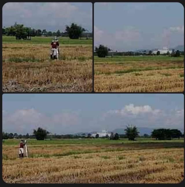 ที่ดิน จังหวัดเชียงราย อ.พาน 2