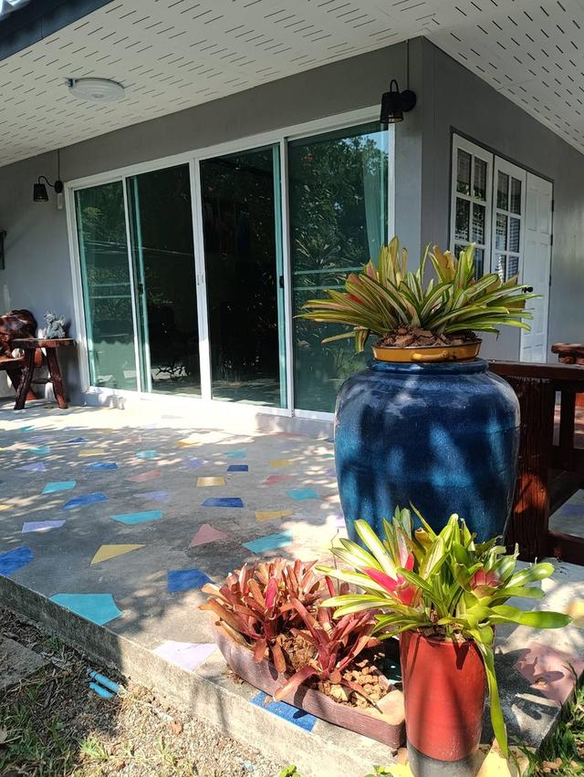 บ้านเดี่ยวให้เช่าใกล้ทะเลตกแต่งใหม่ทั้งหมดพร้อมเข้าอยู่ บรรยากาศดี ศรีราชา ชลบุรี 3