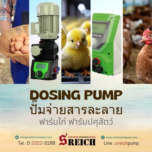 Dosing pump ปั๊มบัดบัดน้ำในฟาร์มเลี้ยงไก่ หรือฟาร์มเลี้ยงสัตว์ปีกทุกชนิด