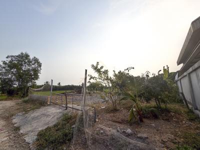 ที่ดินเปล่า 126 ตารางวา ไทรน้อย นนทบุรี 4