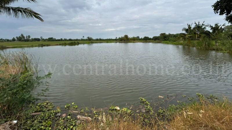 ที่ดิน 9-3-99.5 ไร่ ดอนโพธิ์ - สุพรรณบุรี มีผู้เช่า ทำเลดี 8