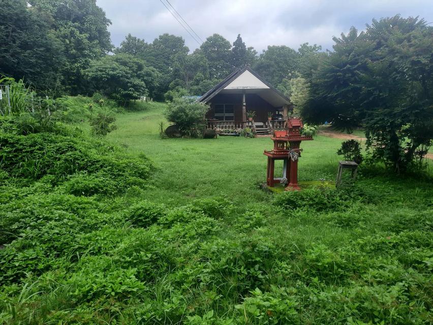 บ้านพร้อมที่ดิน อ.ปาย จ.แม่ฮ่องสอน 7