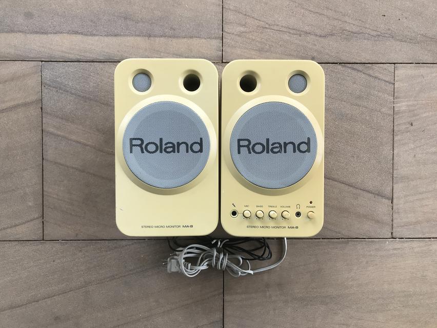 Roland MA-8 Stereo 4" Micro Monitor