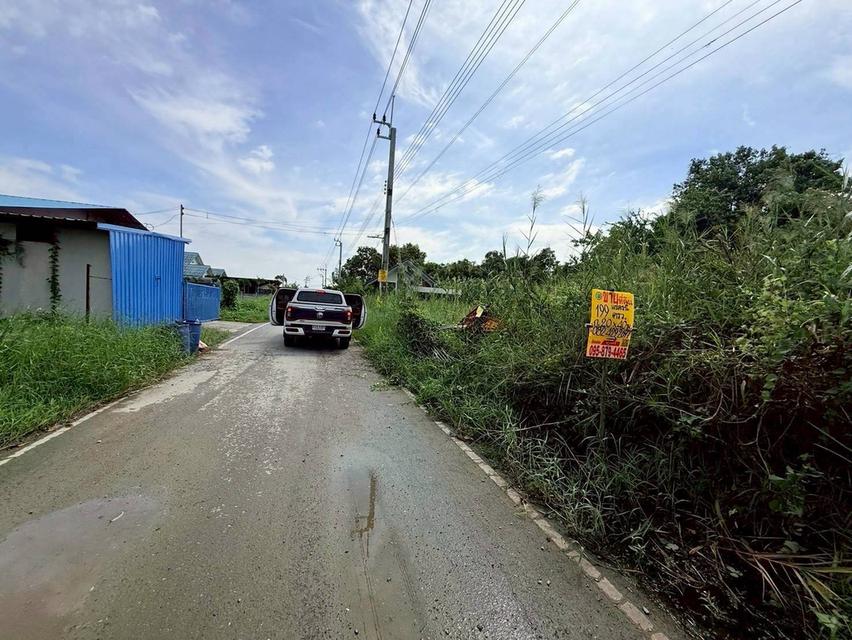 Vายด่วนที่ดินบ้านใหม่ 199 ตารางวาทติดถนนลาดยาง มีไฟฟ้า 3 เฟส ซอย เคหะ-บ้านใหม่ 21 อ.บางใหญ่ จ.นนทบุรี 3