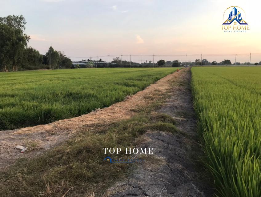 ขายด่วน❗️ที่ดินเปล่า 8 ไร่ 27 ตารางวา** 📍บางน้ำเปรี้ยว จังหวัดฉะเชิงเทรา 5