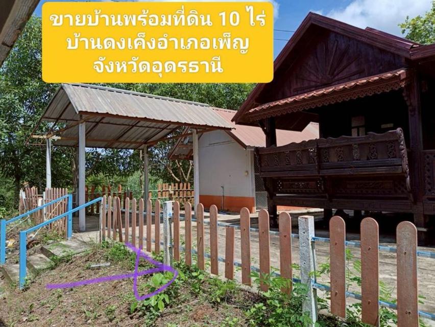 ขายบ้านพร้อมที่ดิน เนื้อที่10ไร่ อ.เพ็ญ จ.อุดรธานี  7
