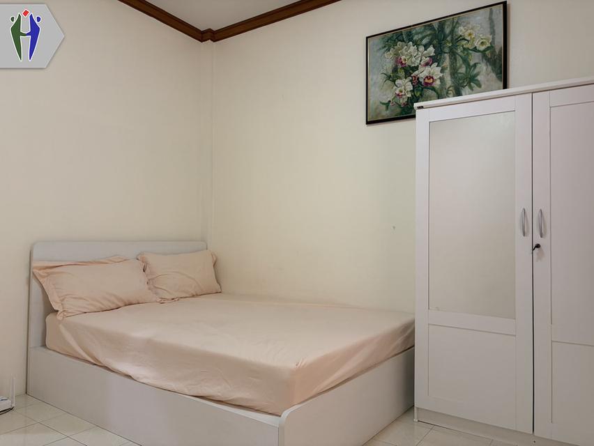 บ้านให้เช่า รับน้องหมา น้องแมว 8