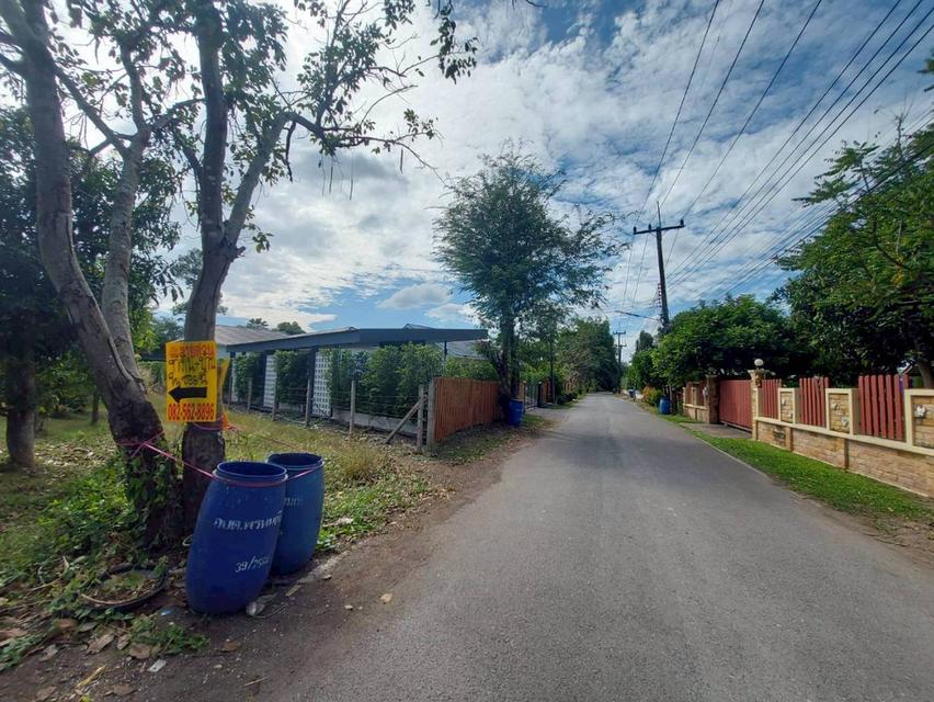 ขายที่ดินพร้อมสิ่งปลูกสร้าง ซอยหมู่บ้านธารทอง ใกล้โรงเรียนนายร้อยพระจุลจอมเกล้า 4