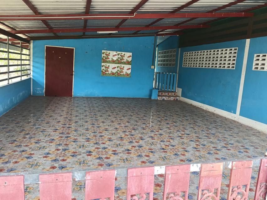 ขายด่วนบ้าน2หลังที่ดิน2ไร่เขตชุมชนติดถนนลาดยางน้ำไม่ท่วมไม่มีประวัติอยู่ไกล้ม. ราชมงคลสุวรรณภูมิสามชุกจ. สุพรรณขาย2. 55ล. สนใจ0894109810เจ้าของโดยตรง 2