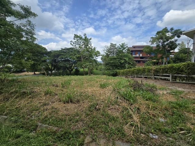 ขายที่ดินแปลงมุม 289.9 ตร.ว โครงการภูภัทรา ปากช่อง เขาใหญ่ ติดถนน 2 ด้าน วิวธรรมชาติ ใกล้แหล่งท่องเที่ยว