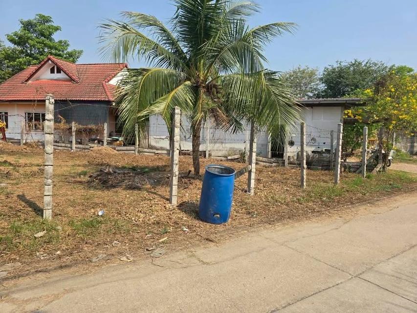 ขายด่วน  ที่ดิน 126 ตารางวา ติดถนนคอนกรีตสาธารณะ มะเดื่อ เมืองนครปฐม 5