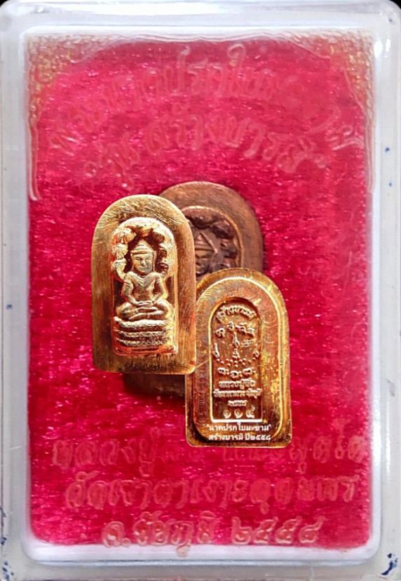 พระนาคปรกใบมะขาม รุ่น สร้างบารมี รูปที่ 6