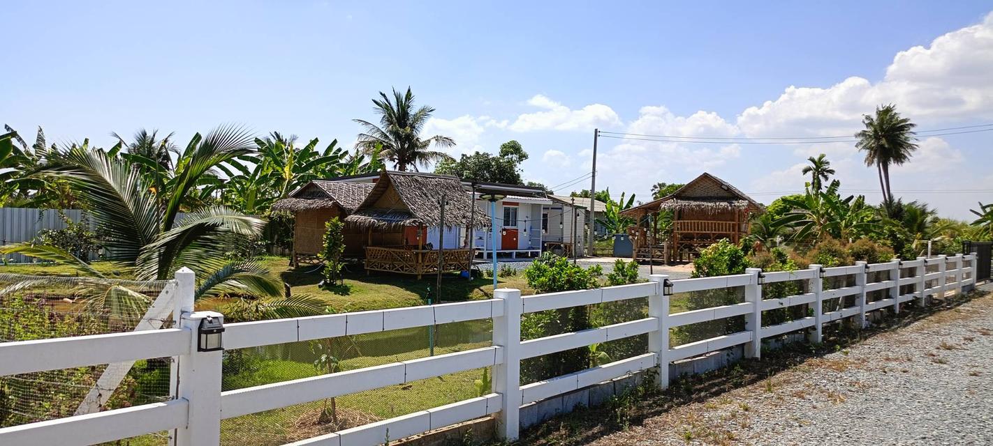 ที่ดินสไตล์ปลูกบ้านสวน รูปย่อยที่ 3