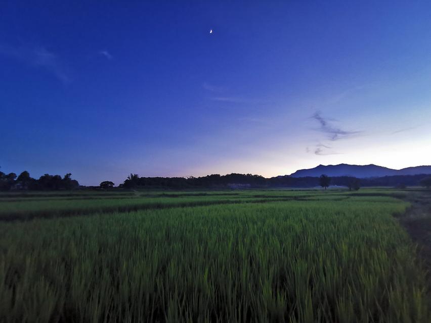 ที่ดิน จ.ลำปาง ที่นา วิวสวยบรรยากาศดี 6